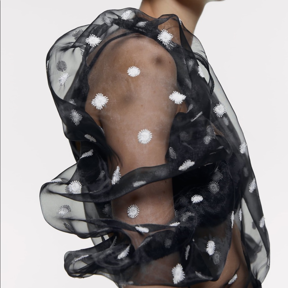 Zara Embroidered Black Organza Blouse - Picture 5 of 6